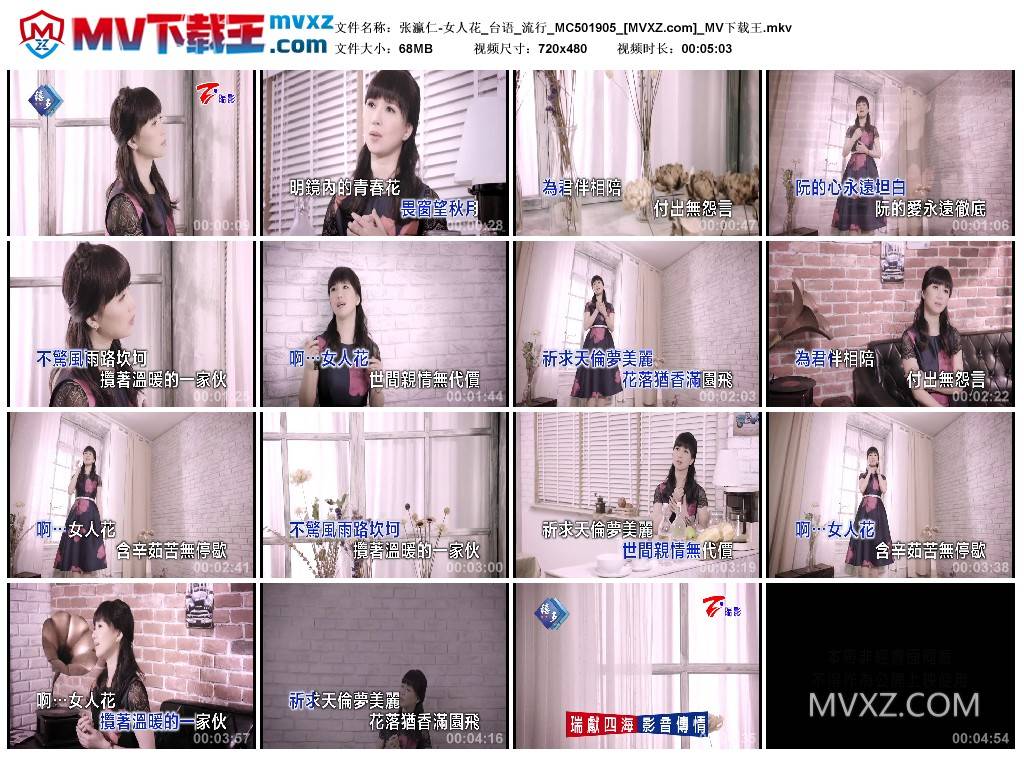 张瀛仁-女人花_台语_流行_MC501905